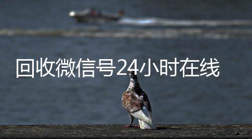 回收微信号24小时在在线24小时回收vx线秒结（回收微信号24小时交易平台）